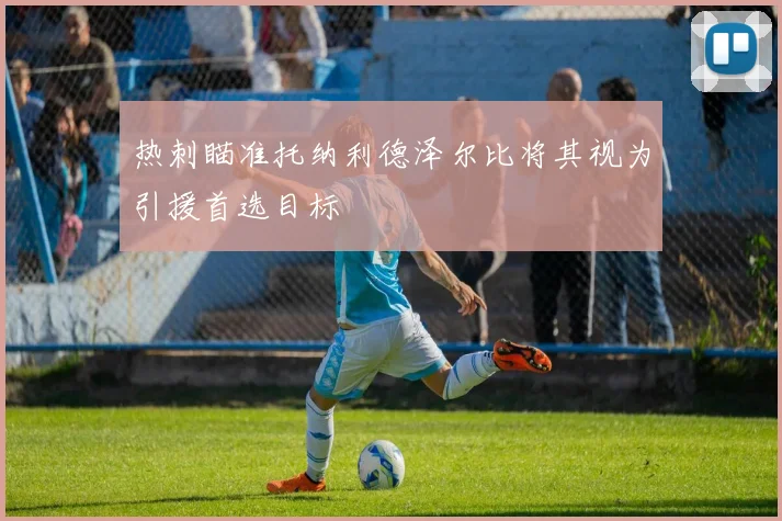热刺瞄准托纳利德泽尔比将其视为引援首选目标